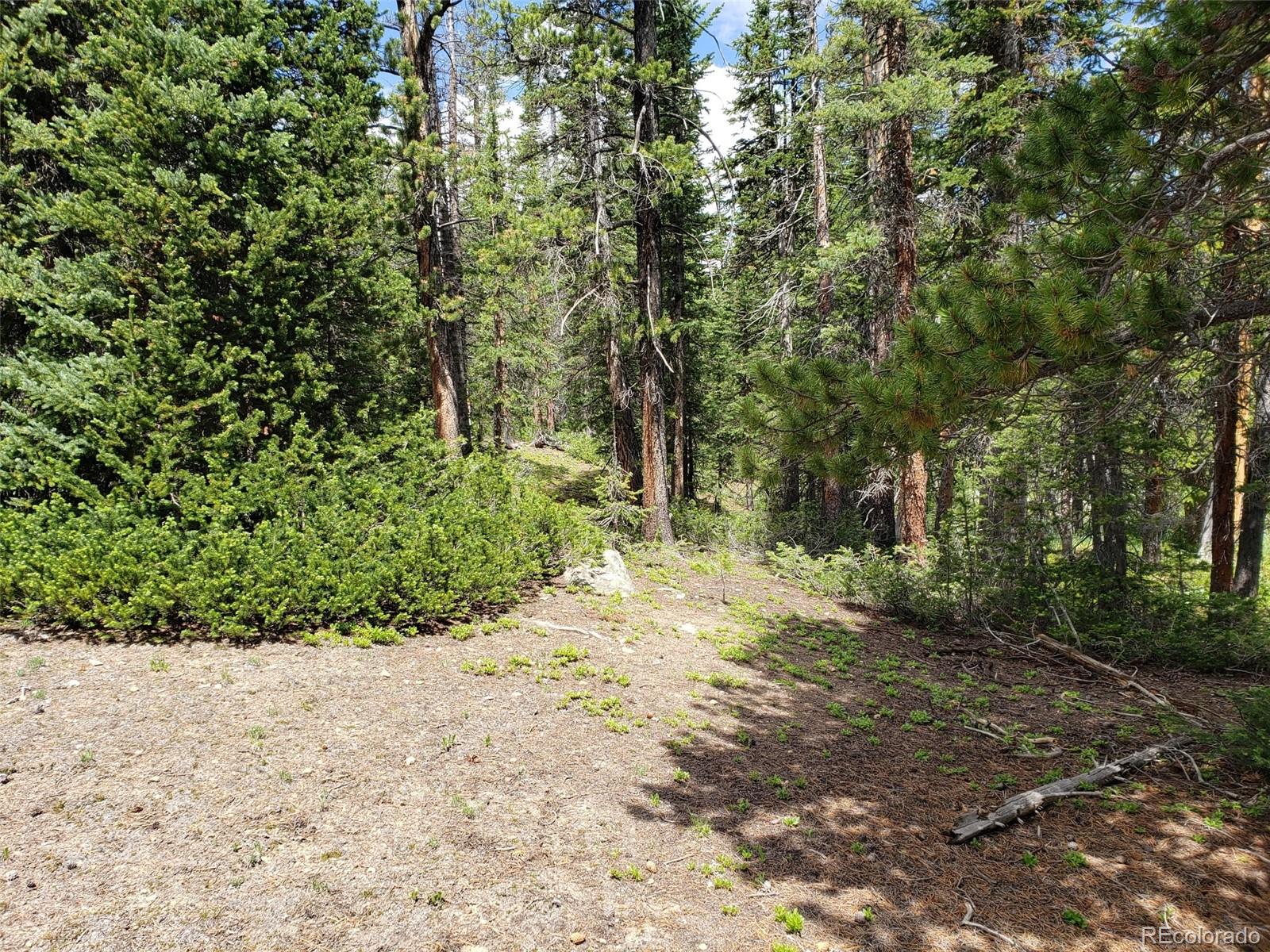 586 El Lobo Lane Fairplay CO 80440