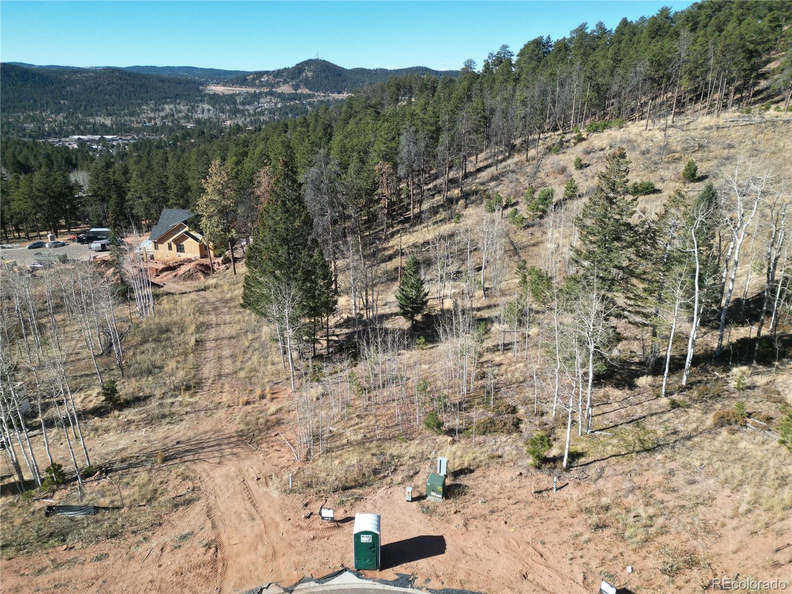 13 Blue Haven Place Woodland Park CO 80863