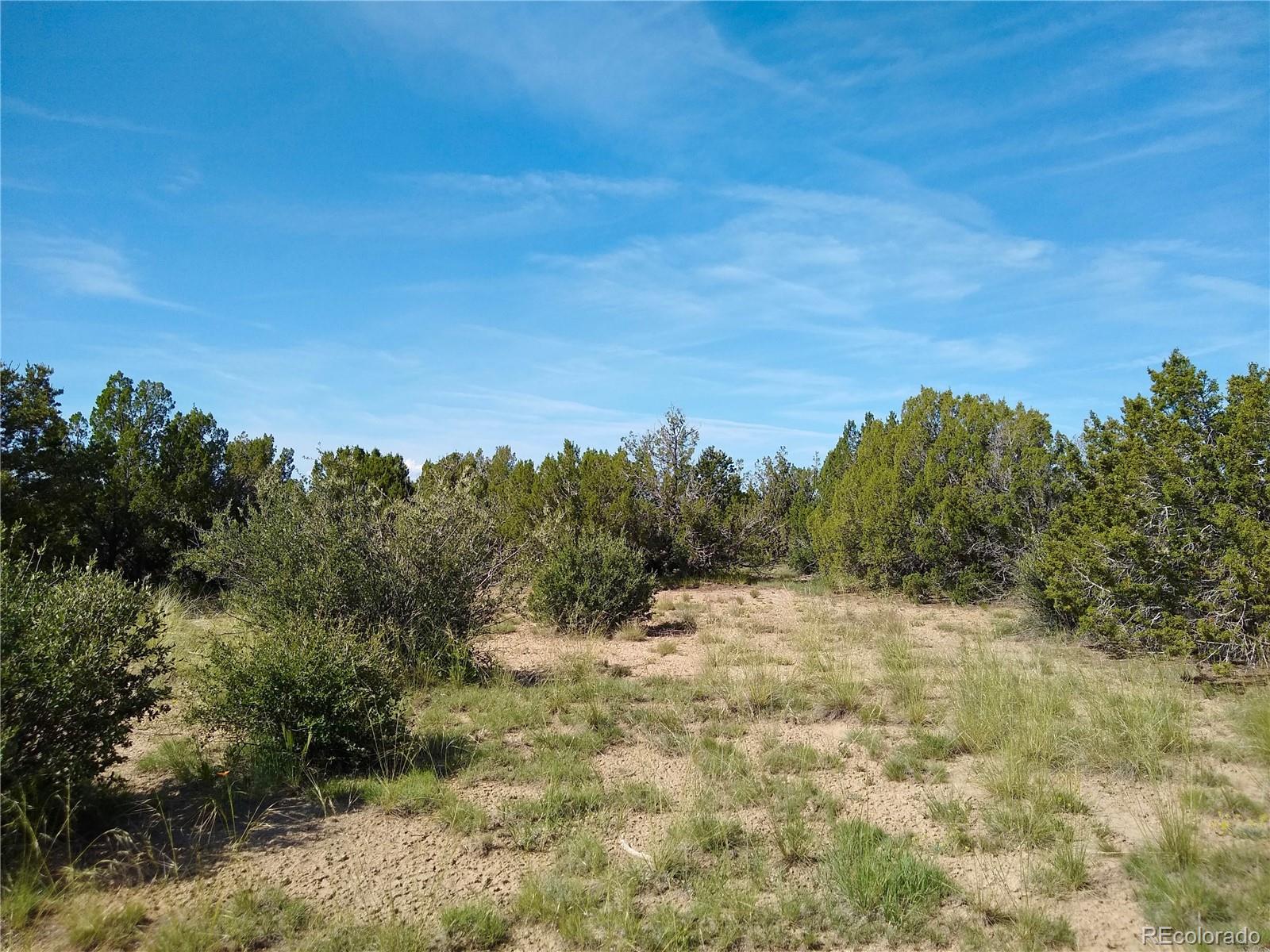 Carlson Road Walsenburg CO 81089