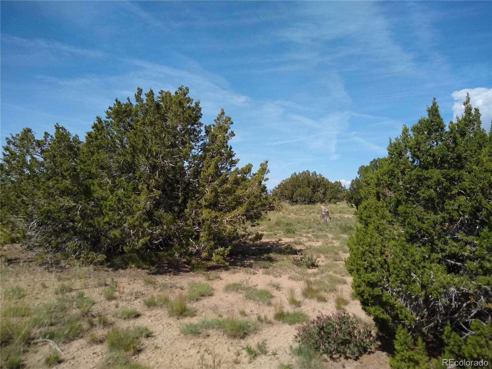 Carlson Road Walsenburg CO 81089