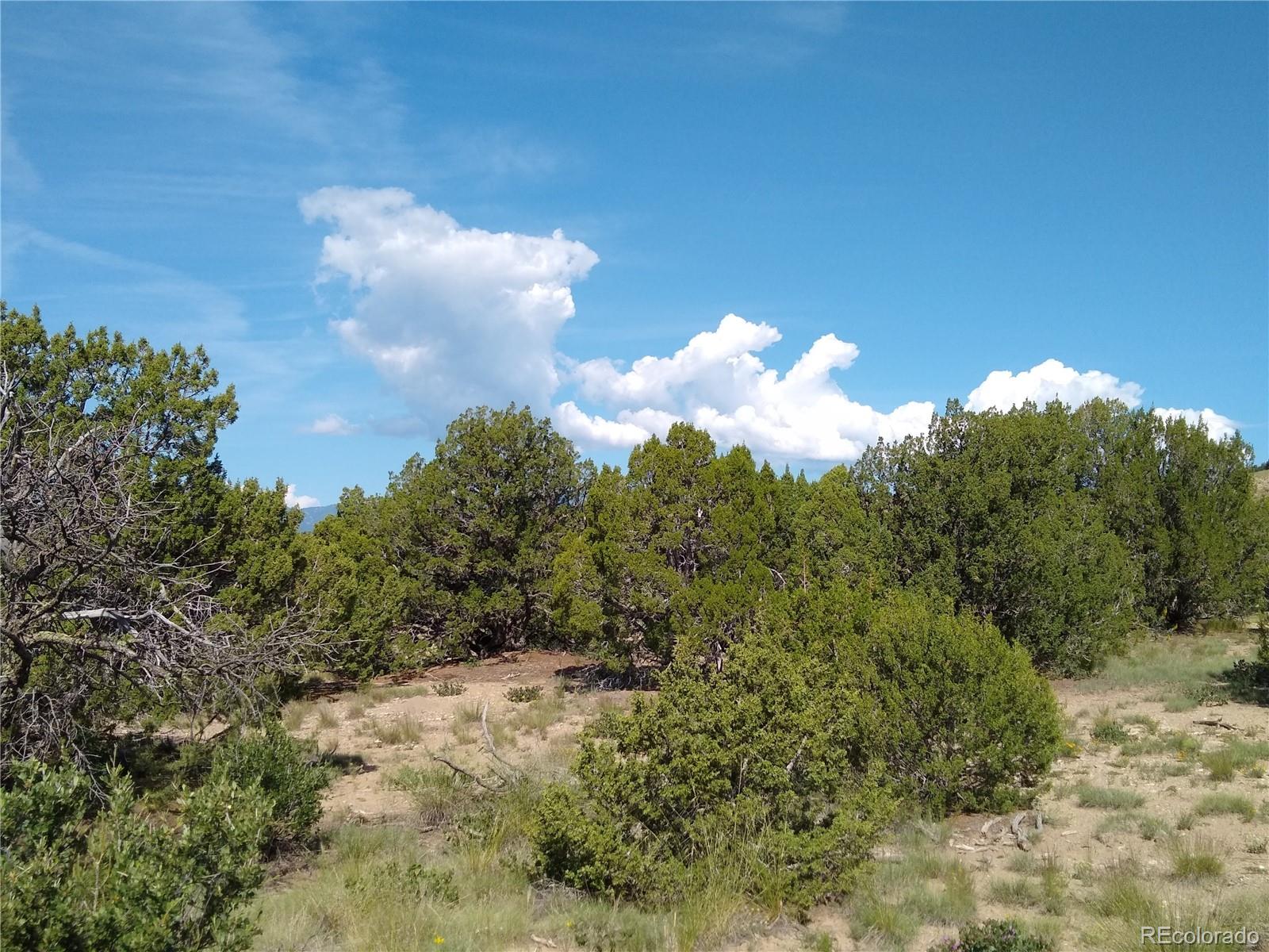 Carlson Road Walsenburg CO 81089