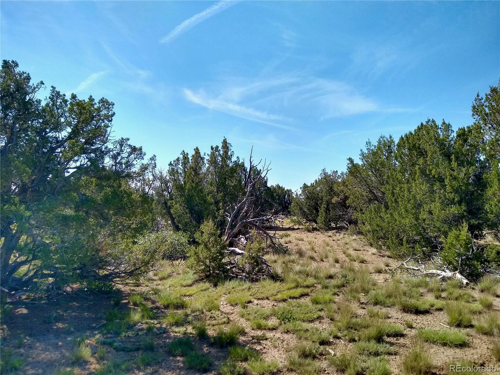 Carlson Road Walsenburg CO 81089