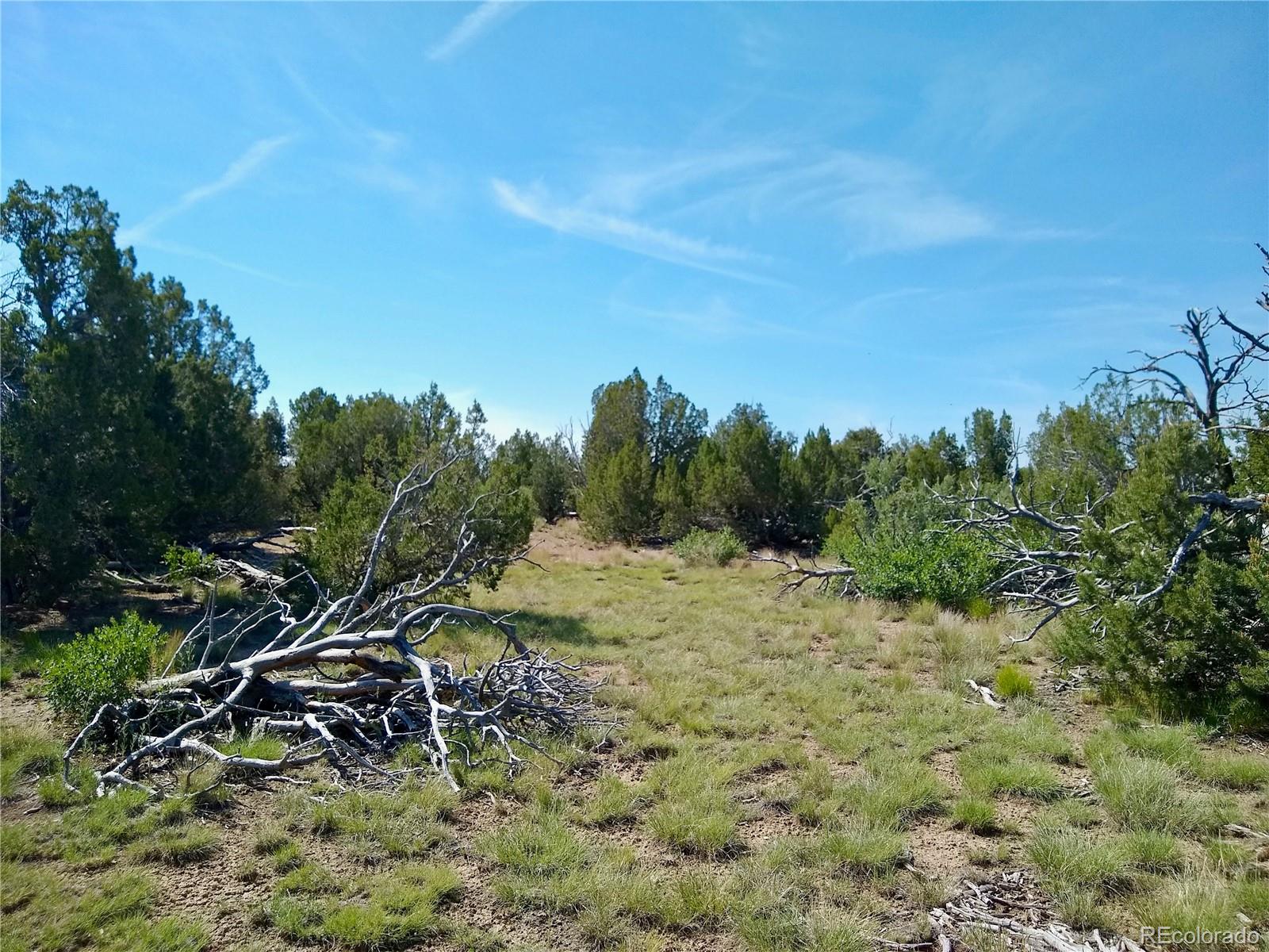 Carlson Road Walsenburg CO 81089