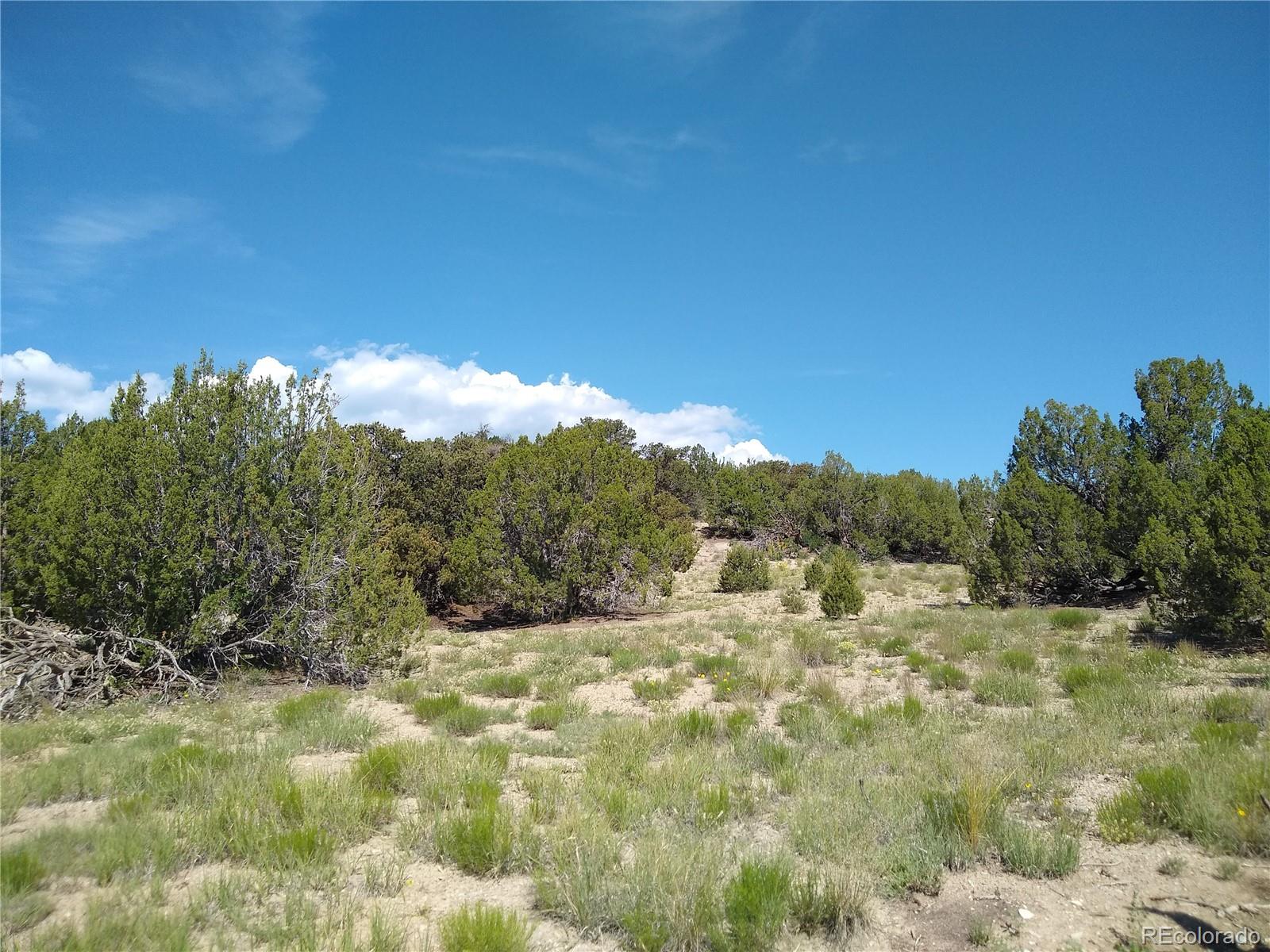 Carlson Road Walsenburg CO 81089