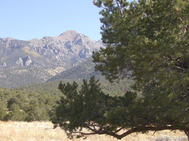 2088 Medicine Bow Overlook Crestone CO 81131