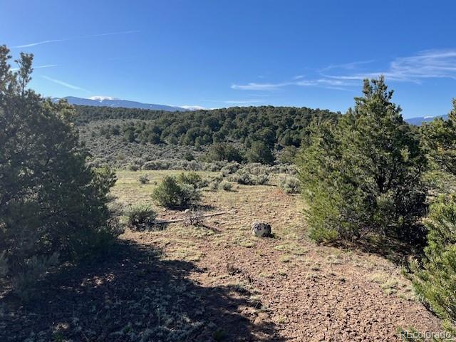 Lot 4 Elk Park Road San Luis CO 81152
