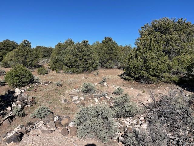 Lot 4 Elk Park Road San Luis CO 81152