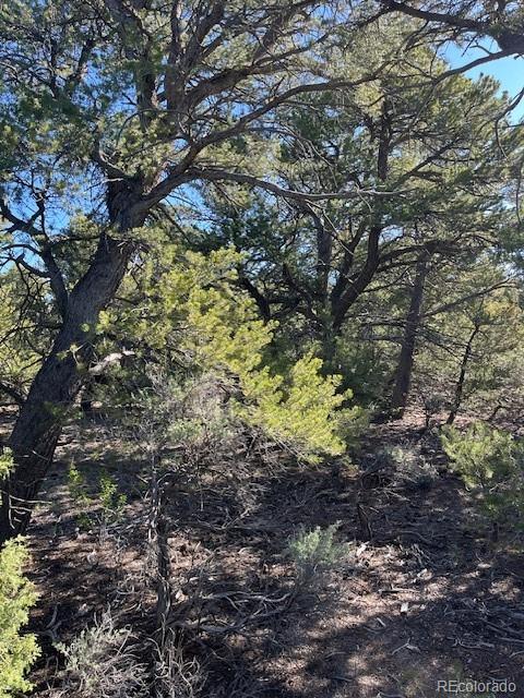 Lot 4 Elk Park Road San Luis CO 81152