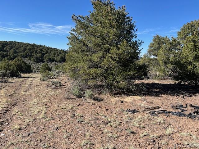 Lot 4 Elk Park Road San Luis CO 81152