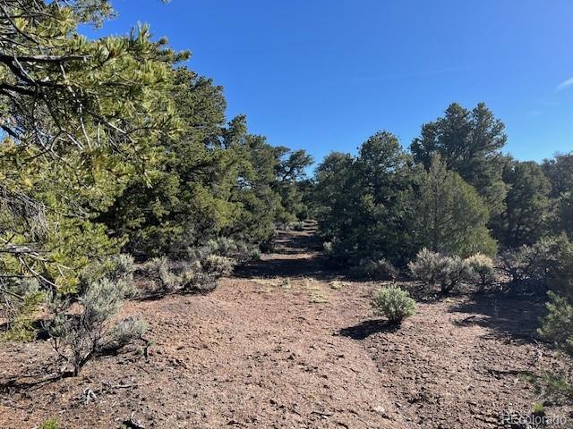 Lot 4 Elk Park Road San Luis CO 81152