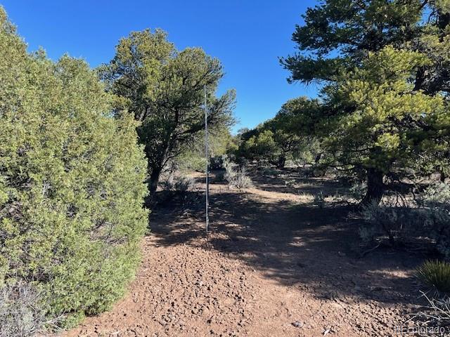Lot 4 Elk Park Road San Luis CO 81152