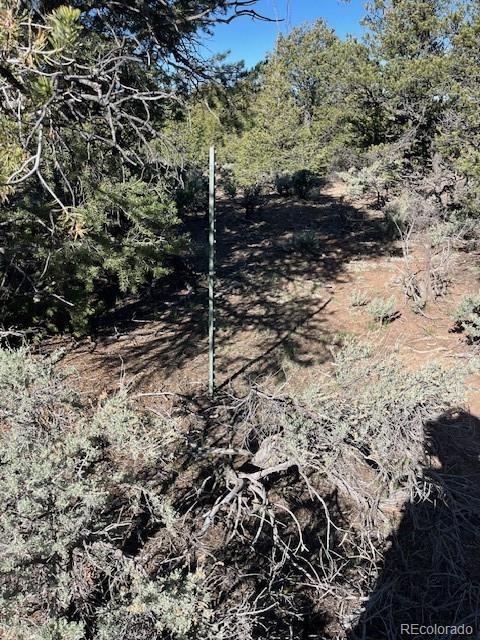 Lot 4 Elk Park Road San Luis CO 81152