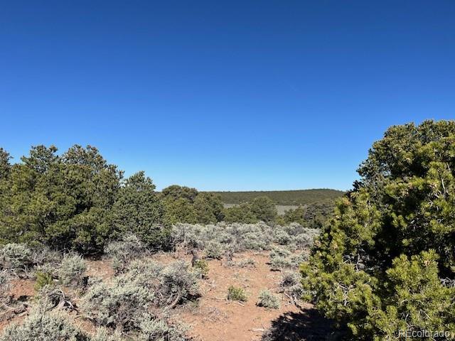 Lot 4 Elk Park Road San Luis CO 81152