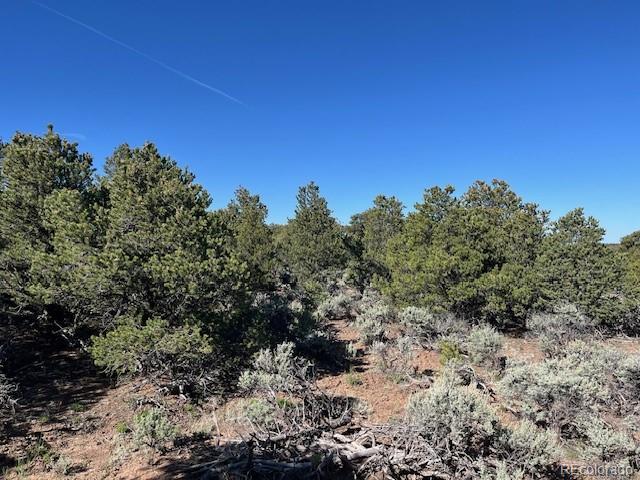 Lot 4 Elk Park Road San Luis CO 81152