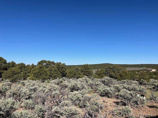 Lot 4 Elk Park Road San Luis CO 81152