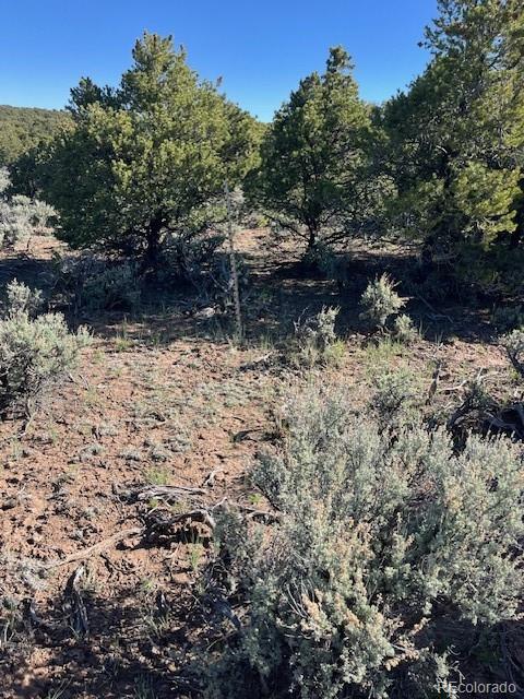 Lot 4 Elk Park Road San Luis CO 81152