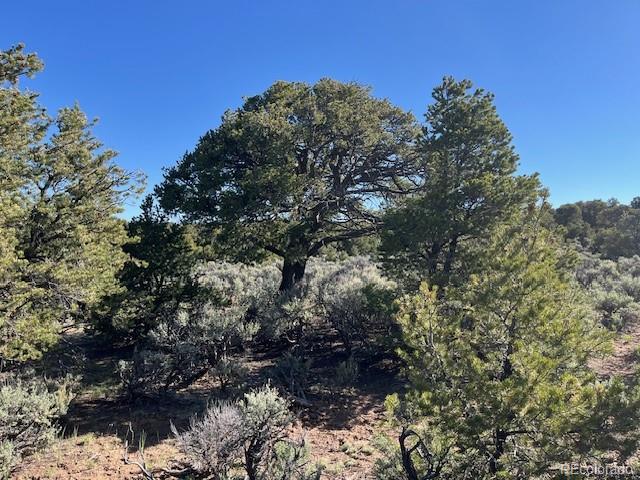Lot 4 Elk Park Road San Luis CO 81152