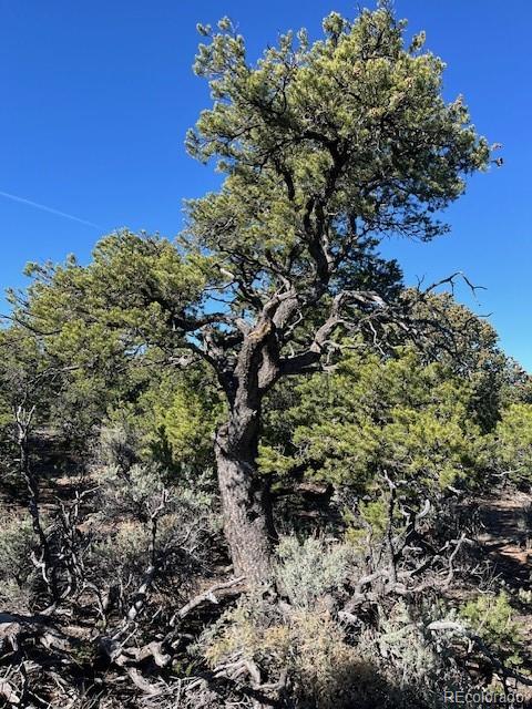 Lot 4 Elk Park Road San Luis CO 81152