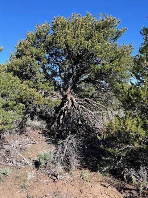 Lot 4 Elk Park Road San Luis CO 81152
