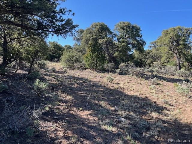 Lot 4 Elk Park Road San Luis CO 81152
