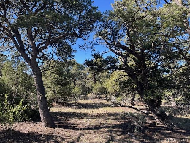 Lot 4 Elk Park Road San Luis CO 81152