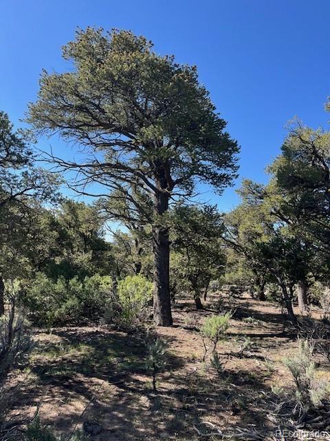 Lot 4 Elk Park Road San Luis CO 81152
