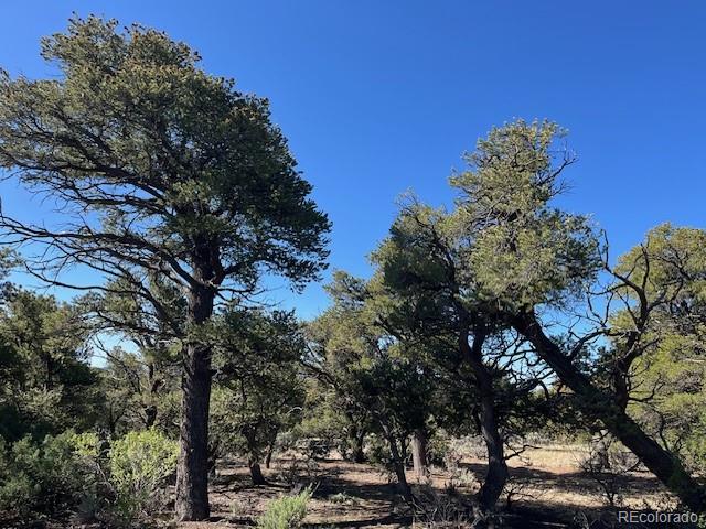 Lot 4 Elk Park Road San Luis CO 81152