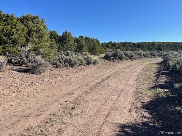 Lot 4 Elk Park Road San Luis CO 81152