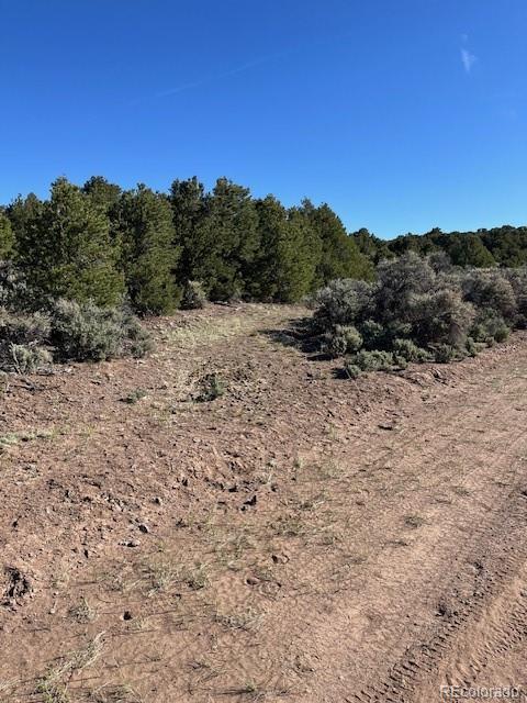 Lot 4 Elk Park Road San Luis CO 81152