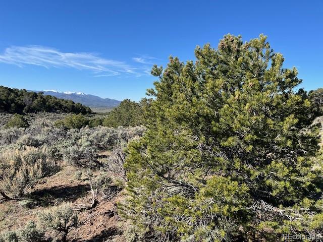 Lot 4 Elk Park Road San Luis CO 81152