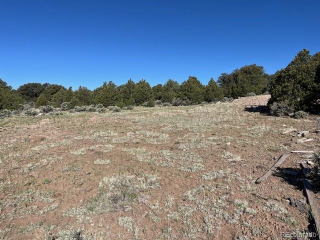Lot 4 Elk Park Road San Luis CO 81152