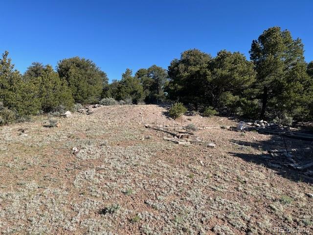 Lot 4 Elk Park Road San Luis CO 81152