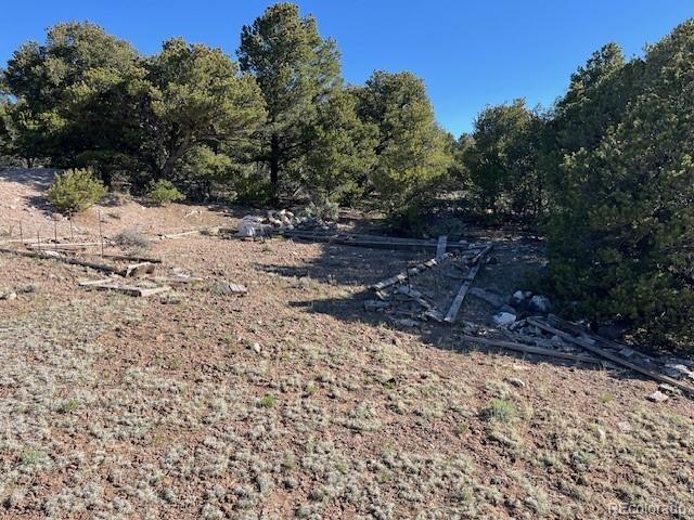 Lot 4 Elk Park Road San Luis CO 81152