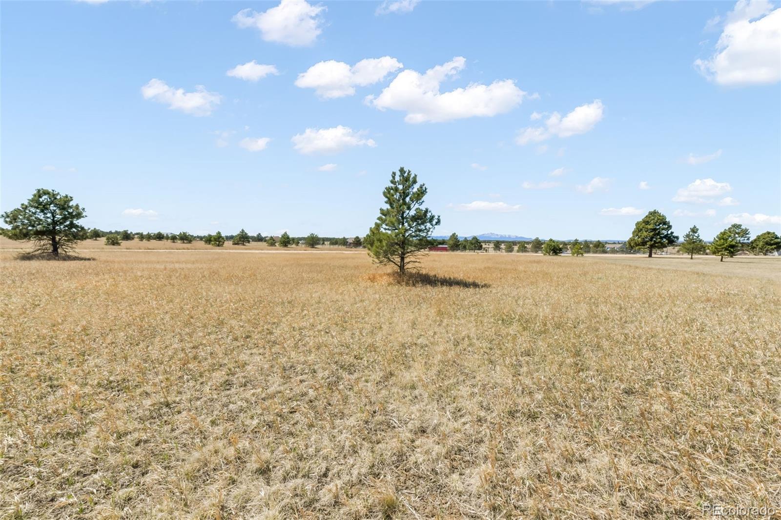 18150 Pinon Park Road Peyton CO 80831