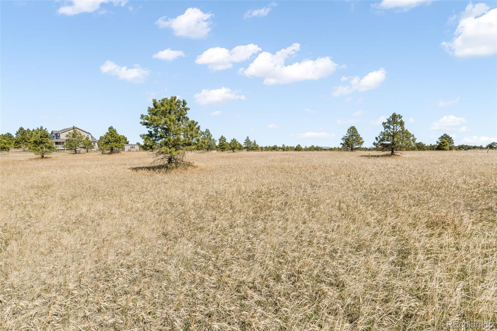 18150 Pinon Park Road Peyton CO 80831