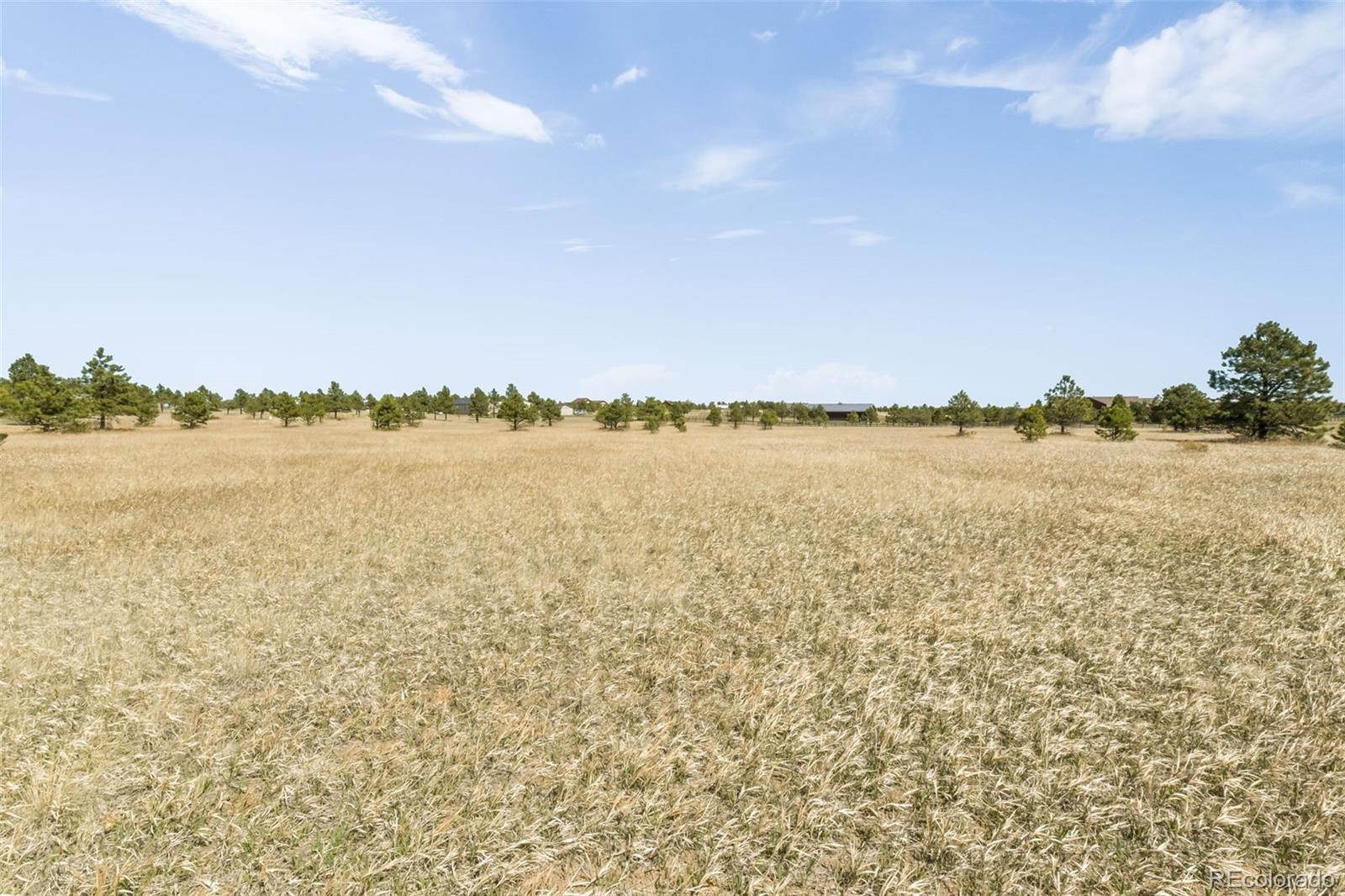 18150 Pinon Park Road Peyton CO 80831