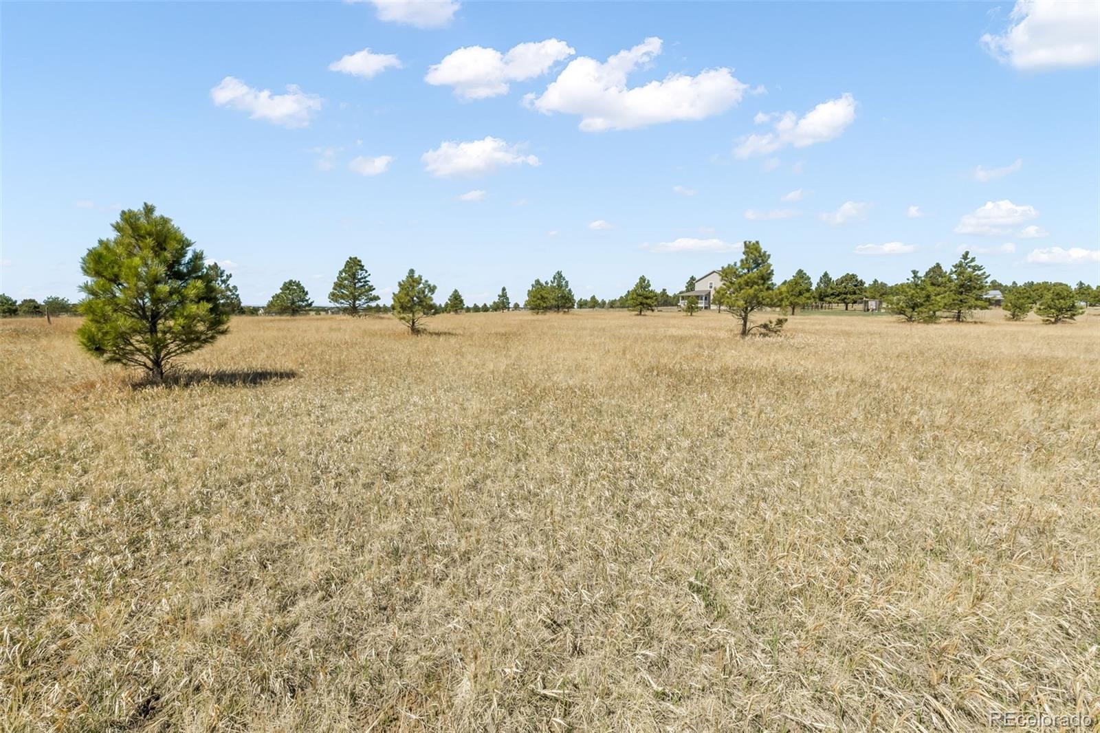 18150 Pinon Park Road Peyton CO 80831