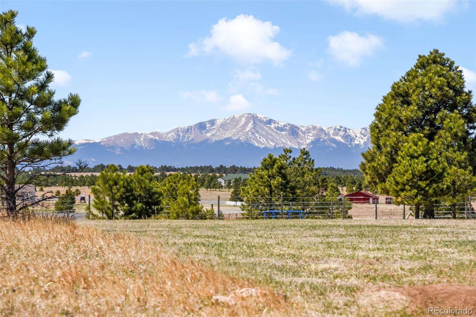 18150 Pinon Park Road Peyton CO 80831