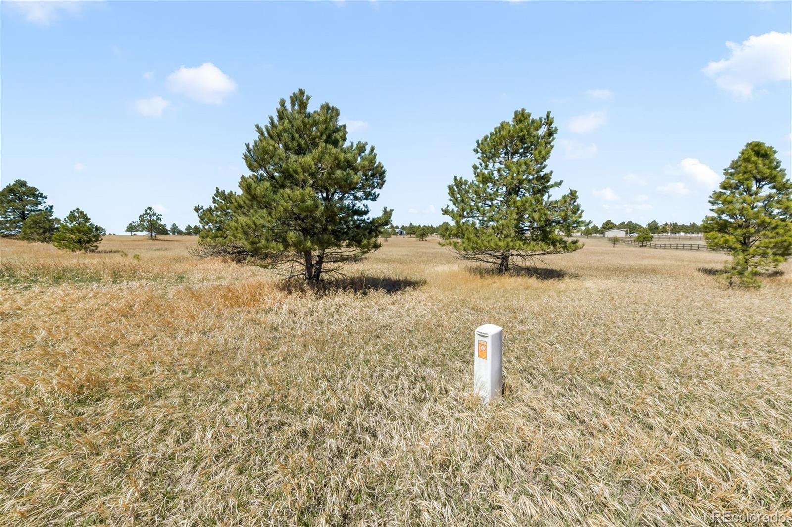 18150 Pinon Park Road Peyton CO 80831