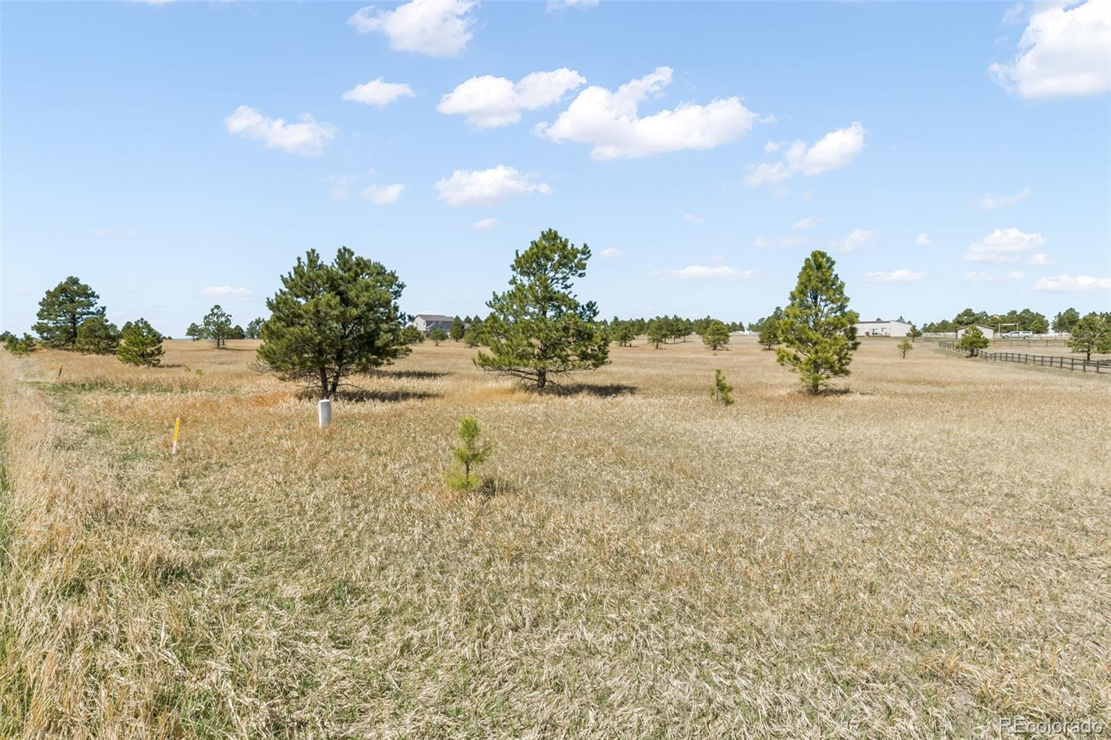 18150 Pinon Park Road Peyton CO 80831
