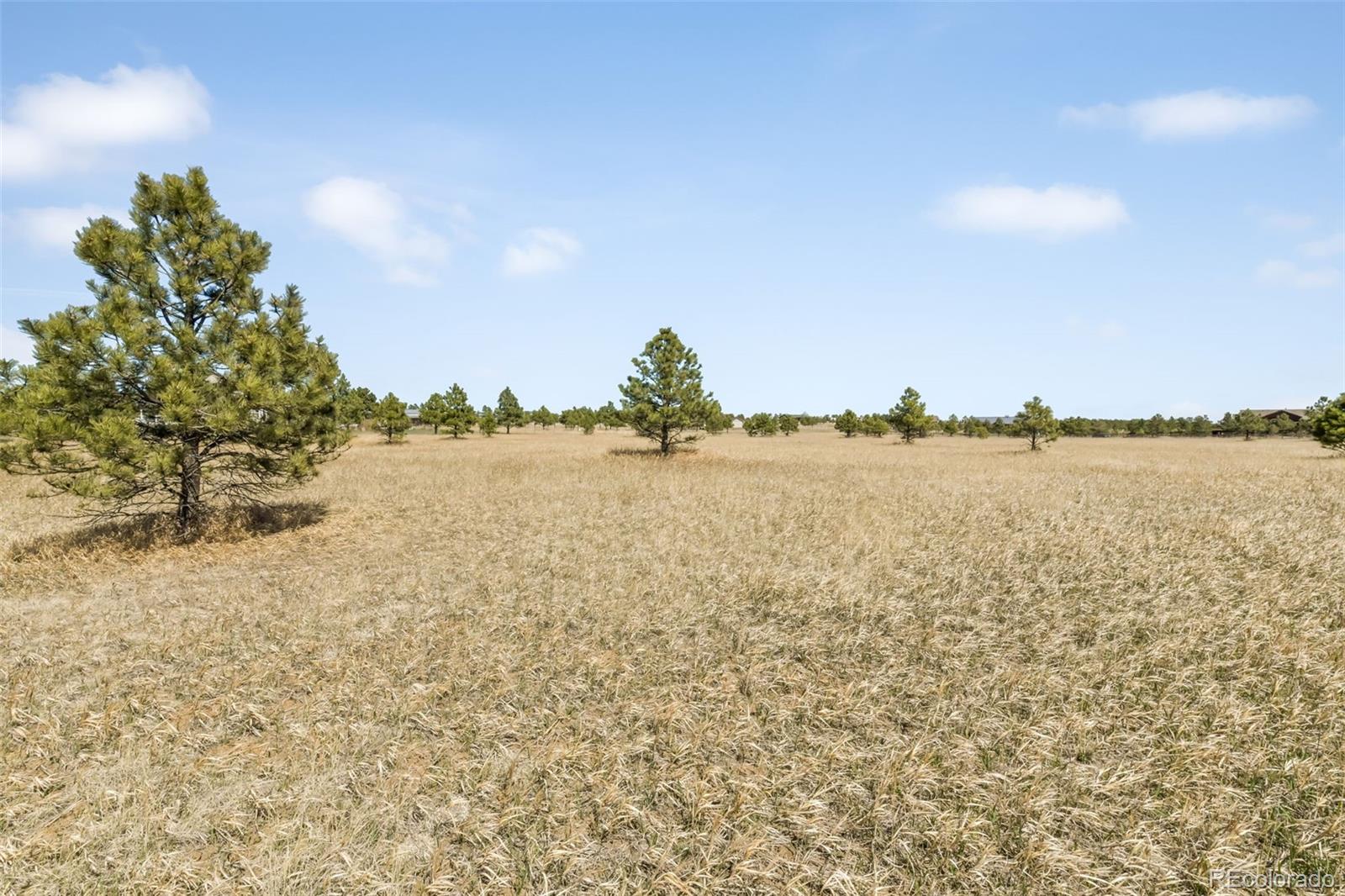 18150 Pinon Park Road Peyton CO 80831