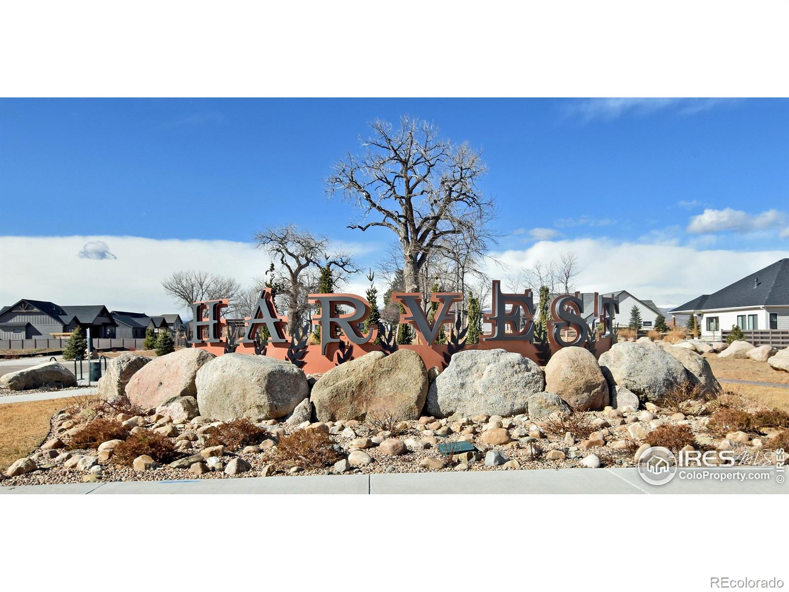1346 Burt Avenue Berthoud CO 80513