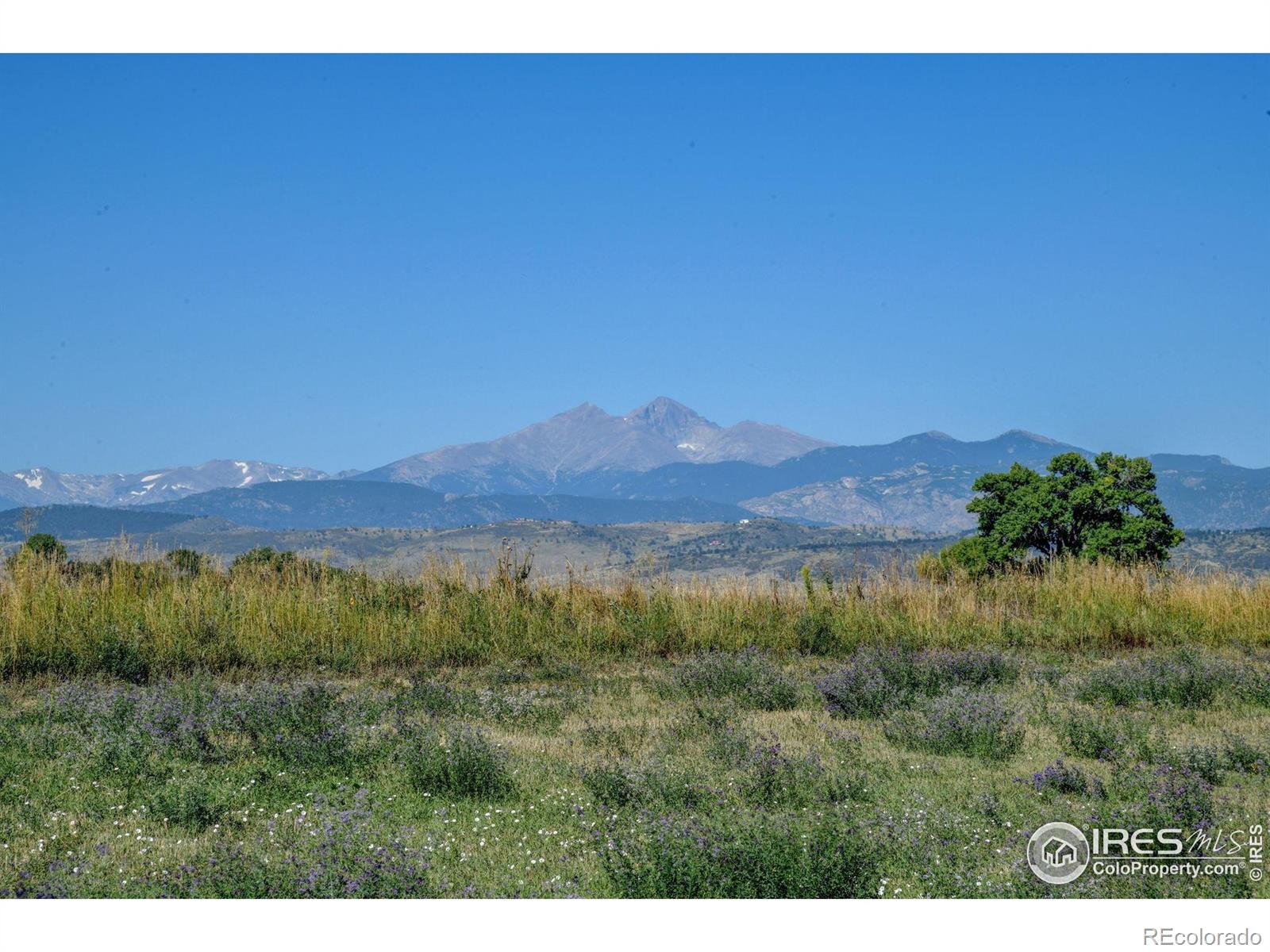 1346 Burt Avenue Berthoud CO 80513