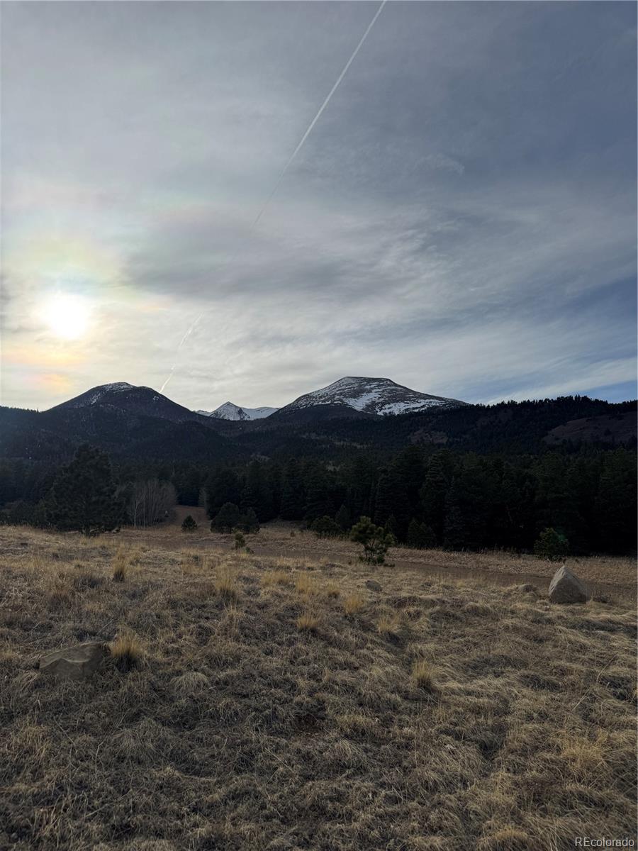 000 Louisiana Ridge Westcliffe CO 81252