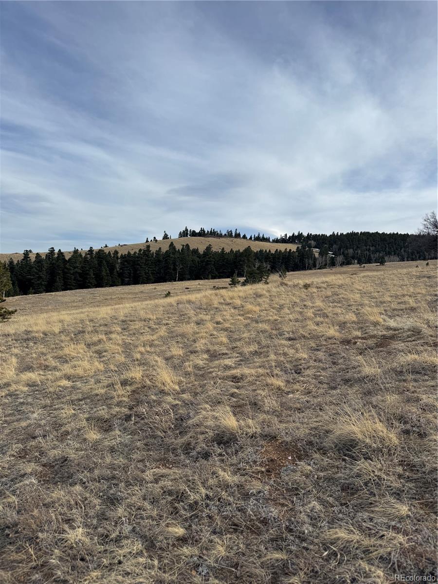 000 Louisiana Ridge Westcliffe CO 81252
