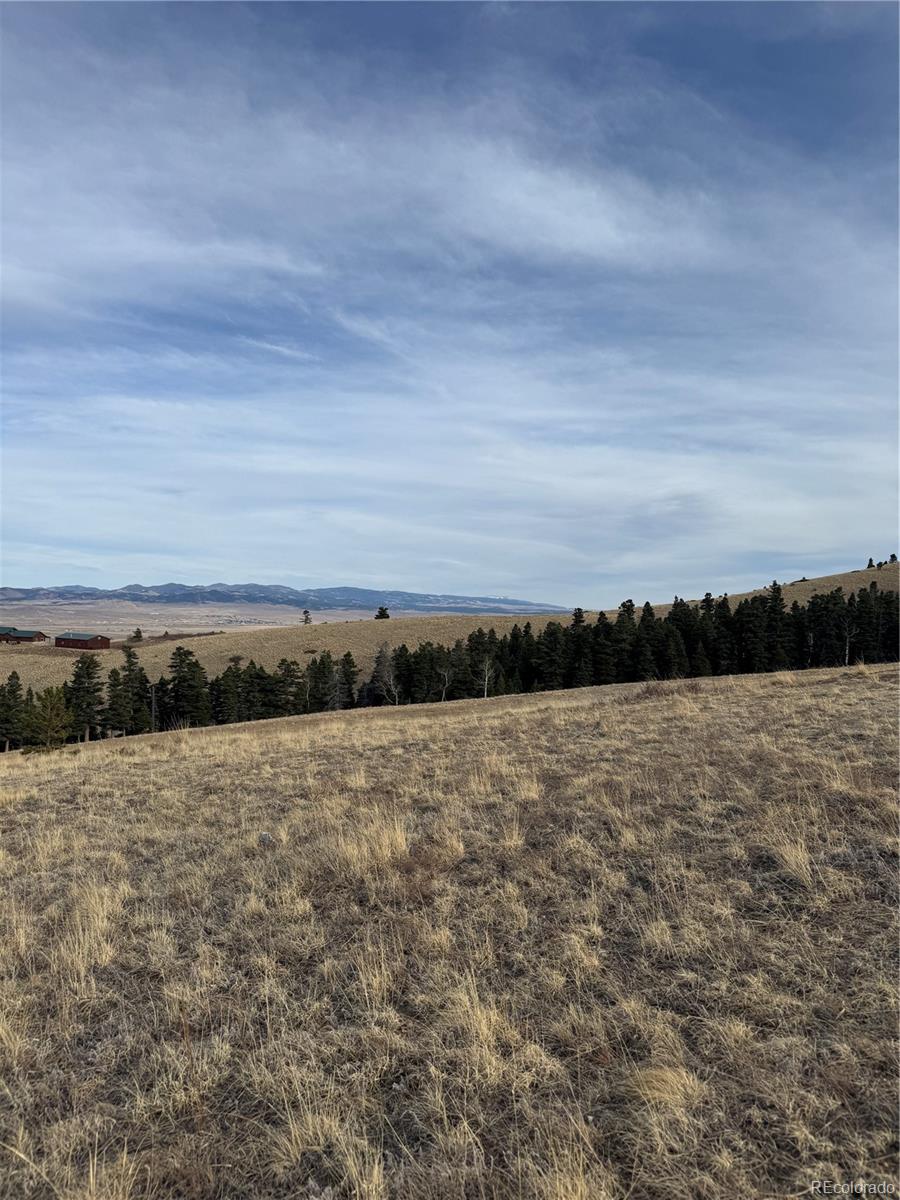000 Louisiana Ridge Westcliffe CO 81252