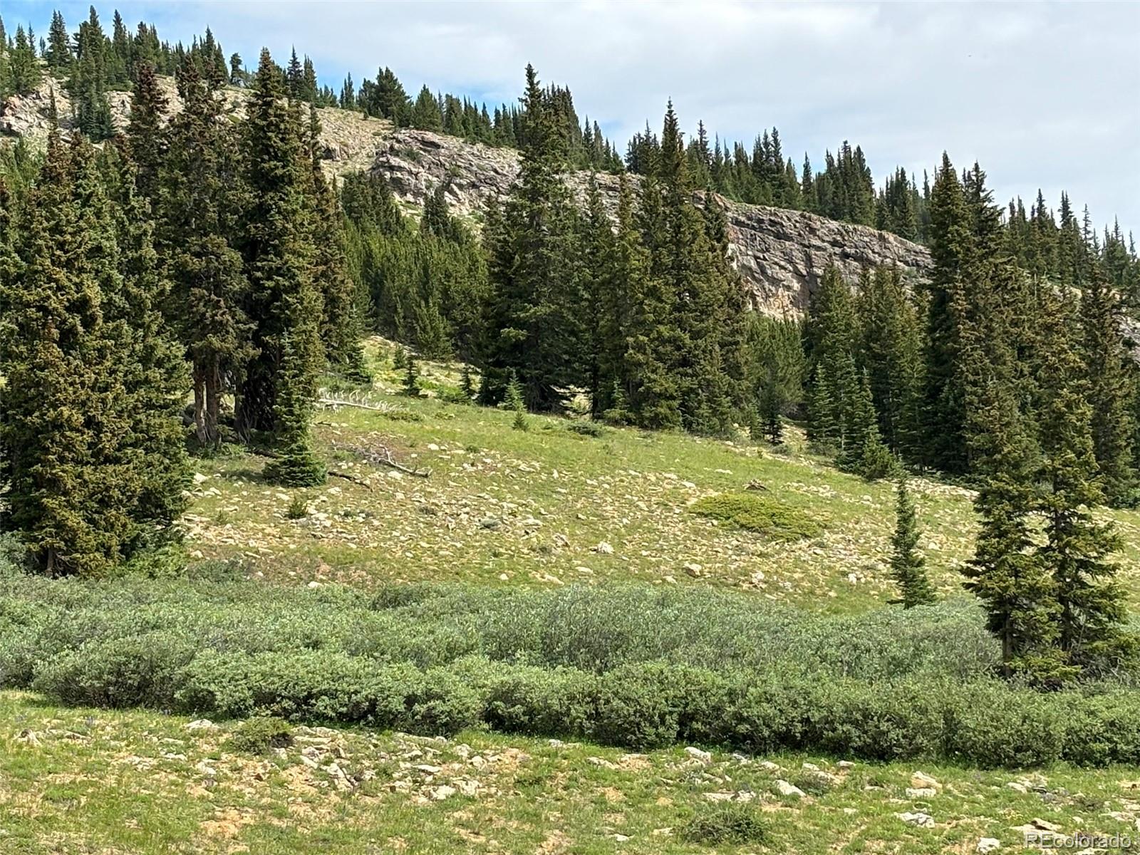 00 Alvin, Silver Cave, Little Ida Fairplay CO 80440