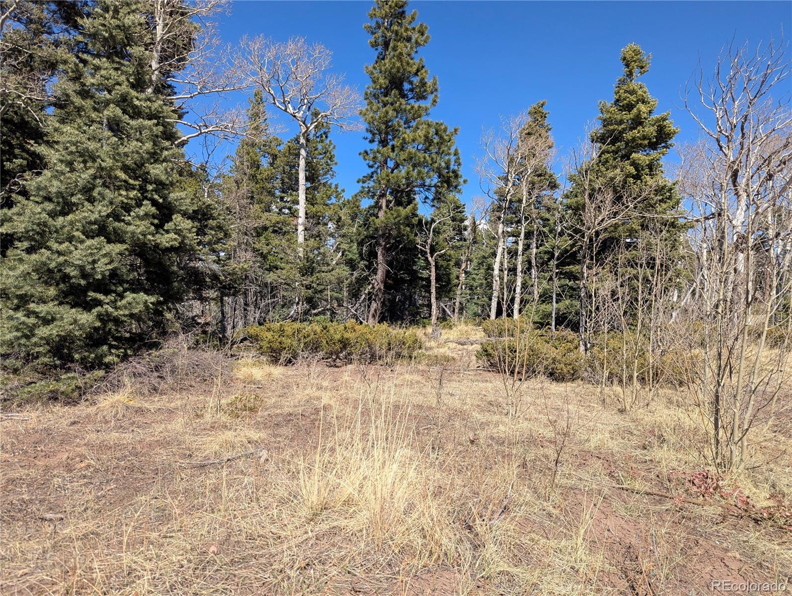 2938 Kemper Loop Fort Garland CO 81133