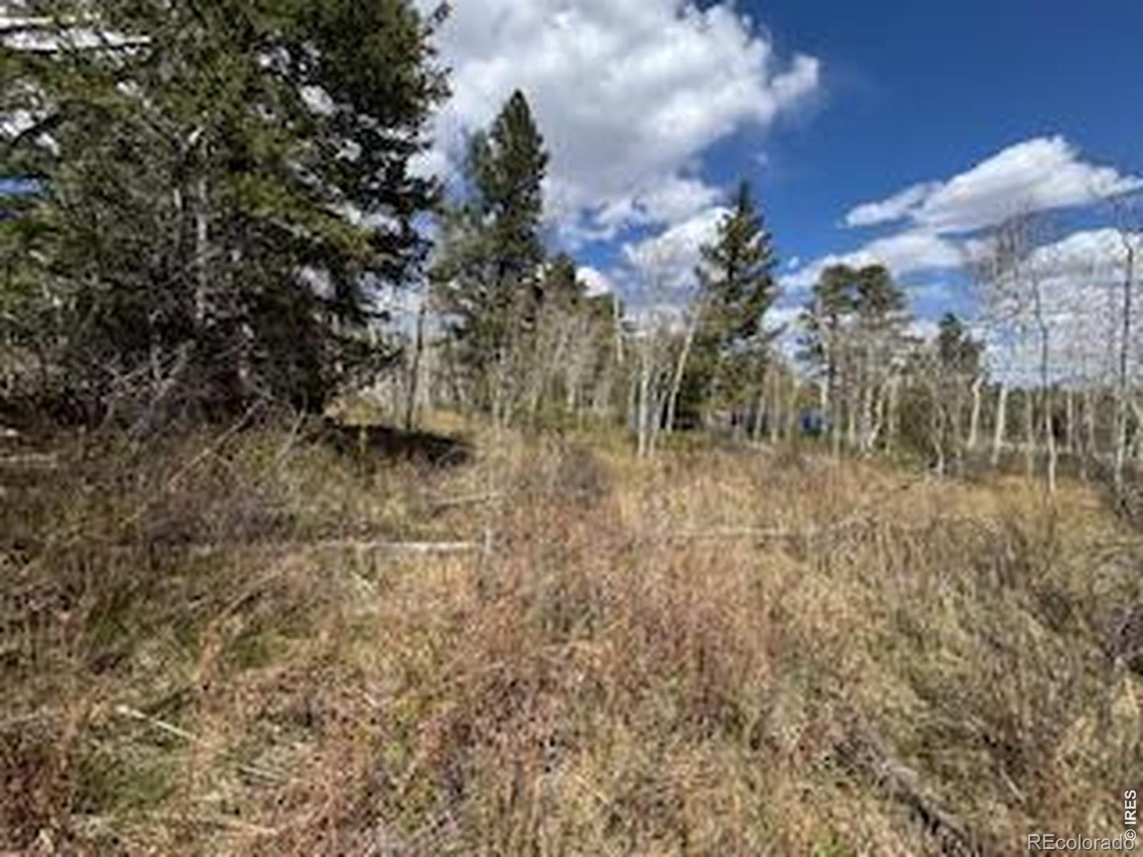 400 Fox Acres Drive W Red Feather Lakes CO 80545