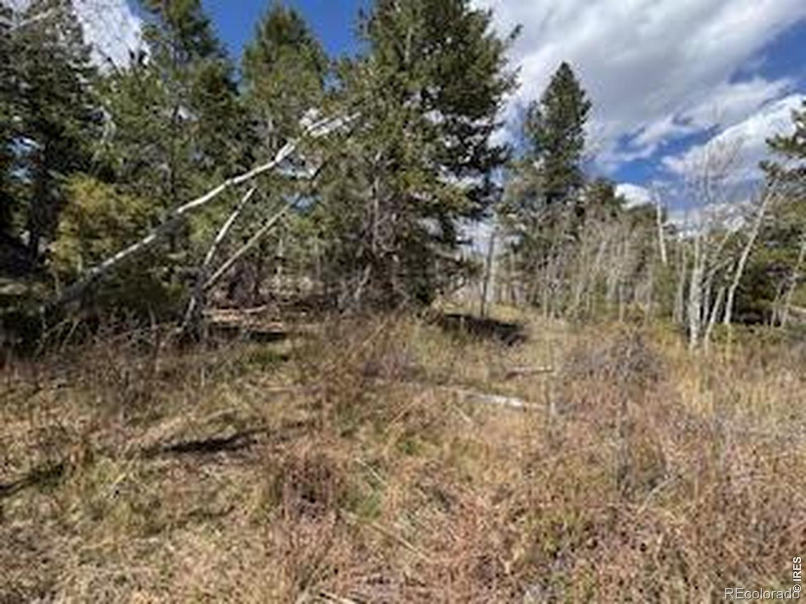 400 Fox Acres Drive W Red Feather Lakes CO 80545
